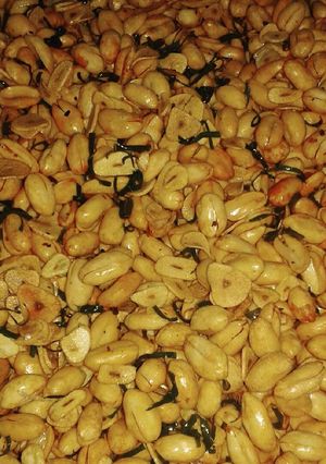 Foto resep Kacang Badaruk