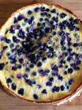 Blaubeer-Mascarpone-Tarte 🫐