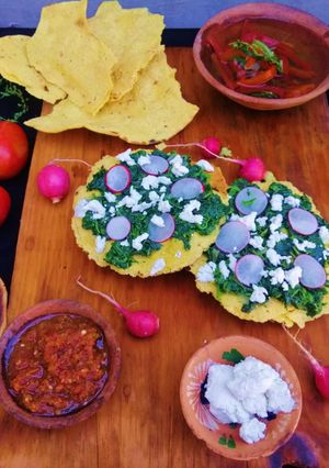Una foto de Tostada de quintonil con requesón (Ticazu yua shiti ji requesón)