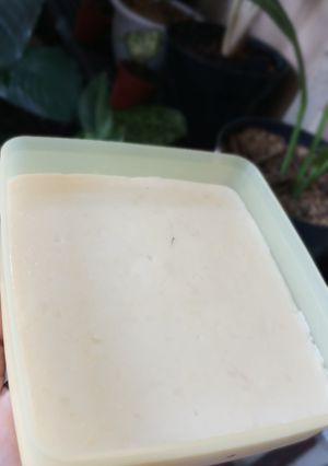 Foto resep Keju mozarella homemade