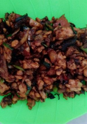 Foto resep Sambel goreng Tempe Suwir lele ala Bunnda RaYun