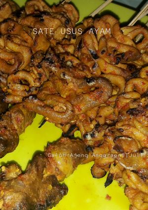 Foto resep Sate Usus Ayam Pedas