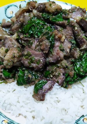 รูปของ กะเพราเนื้อริบอาย