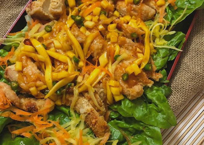 Resipi Chicken Mango Salad Oleh Salina Jalaludin Cookpad