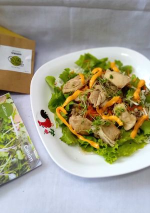 Foto resep Steamed Chicken with Microgreen Salad