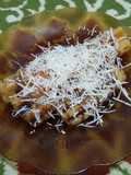 Crofle Tape Keju Cokelat