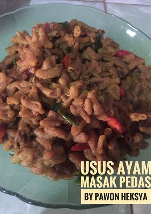 Foto resep Usus ayam masak pedas