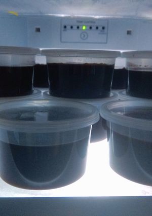 Foto resep PuYo Coklat (Puding Loyo)