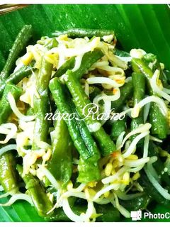 Foto resep Tumis Kacang panjang + Taoge