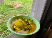 Gambar pakis tahu