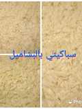 سباغيتي بالبشاميل