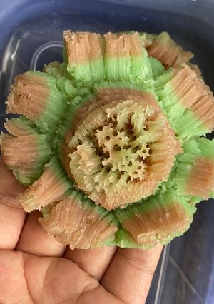 Foto resep Bikang mawar