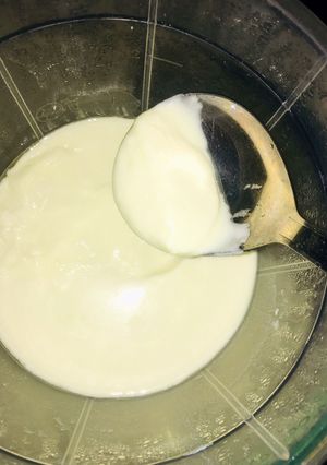 A picture of Home made yoghurt 🥛.