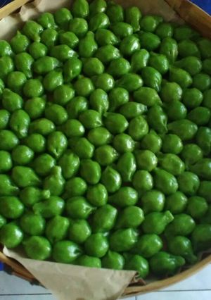 Foto resep Kelepon