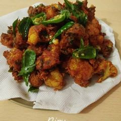 A picture of Gobi 65.