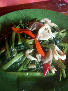 Foto resep Tumis kangkung jamur