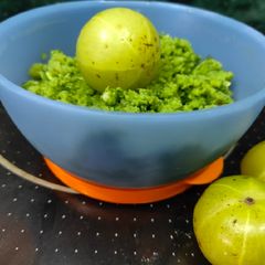A picture of Amla Chutney.