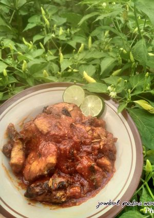Foto resep Jambal balado endes