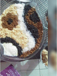 A picture of Mocha carpet pudding 😍.