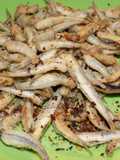 Cornalitos fritos
