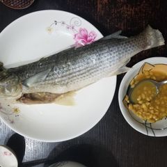 A picture of Chiu Chow Cold Flathead grey mullet Fish 潮州凍烏頭.
