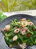 Sawi tumis sotong