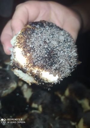 Una foto de Tortitas negras o carasucias😉