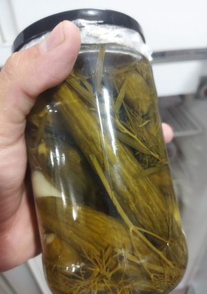 عکسی از دستور خیار شور