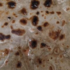Bajra ki Roti A picture of Bajra ki Roti.