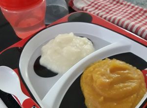 Foto principal de Purés/Papillas Nutritivas (Bebé +6m)👶