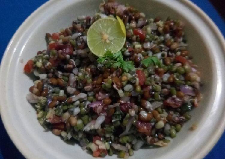 Simple Way to Make Homemade Sprouts chat