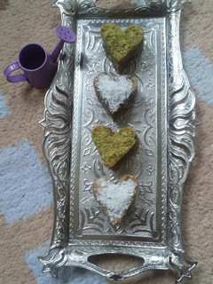عکسی از دستور رنگینک