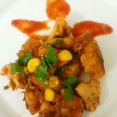 A picture of Gobi 65.