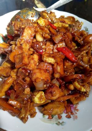 Foto resep Oseng Tempe Ayam sayur Kecap simple