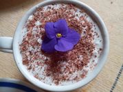 Una foto de cocteles con whisky