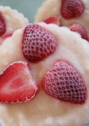 A picture of Frozen Soursop Yogurt Bars.