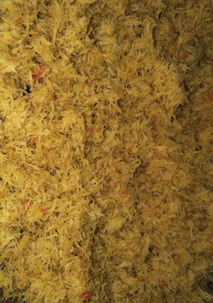 Foto resep Serundeng kelapa