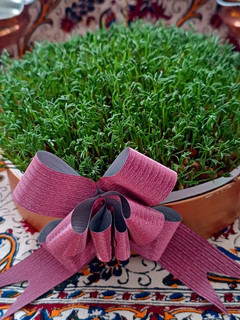عکسی از دستور سبزه عید (گاو دانه)