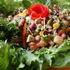 A picture of Green Grams Sprouts Garden Fresh Salad#themechallenge.