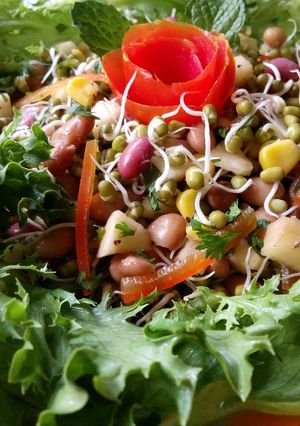 A picture of Green Grams Sprouts Garden Fresh Salad#themechallenge.