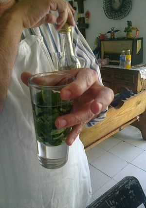 Una foto de Curado de tequila con hoja santa geras