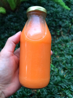 Foto resep Juice Wortel Nanas
