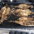 Xurelo o jurel al Horno