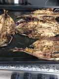Xurelo o jurel al Horno