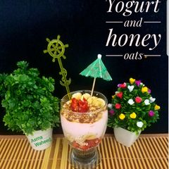 A picture of Yogurt &honey oats.