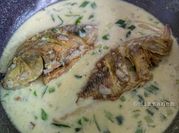 Gambar ikan talapia berkuah