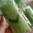 Dadar gulung eggless (tanpa telur)