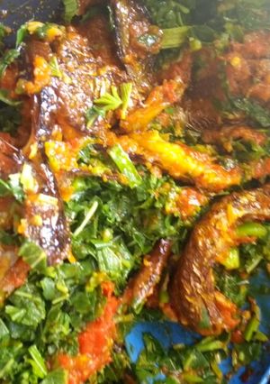 A picture of Spring onion & Alaiyaho.