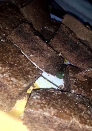 Una foto de Brownie 🍫