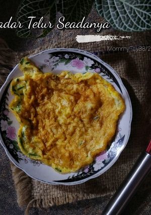 Foto resep Dadar Telur Seadanya